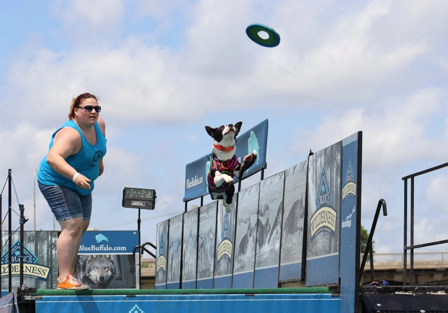 dockdogs